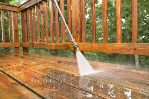 Best Affordable Power Washing  in Anthony, TX