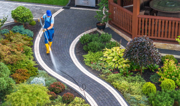 Best Pressure Washing Driveway  in Anthony, TX